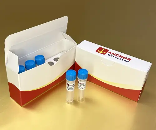 ctDNA Standards For Amplicon based Assays