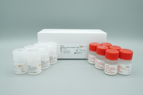 Xpert Bladder Cancer Control C104