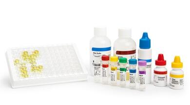 TECHLAB lactoferrin scan imga 545 LabRaum