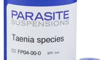 ParasiteSuspensionsNoBackground