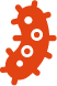 Icon Referenzstämme